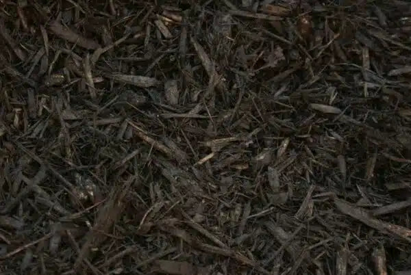 Black Mulch